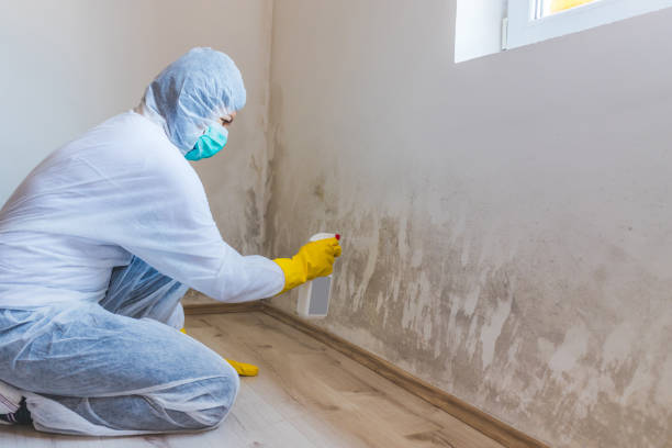 Biohazard Mold Removal in Manhattan, KS